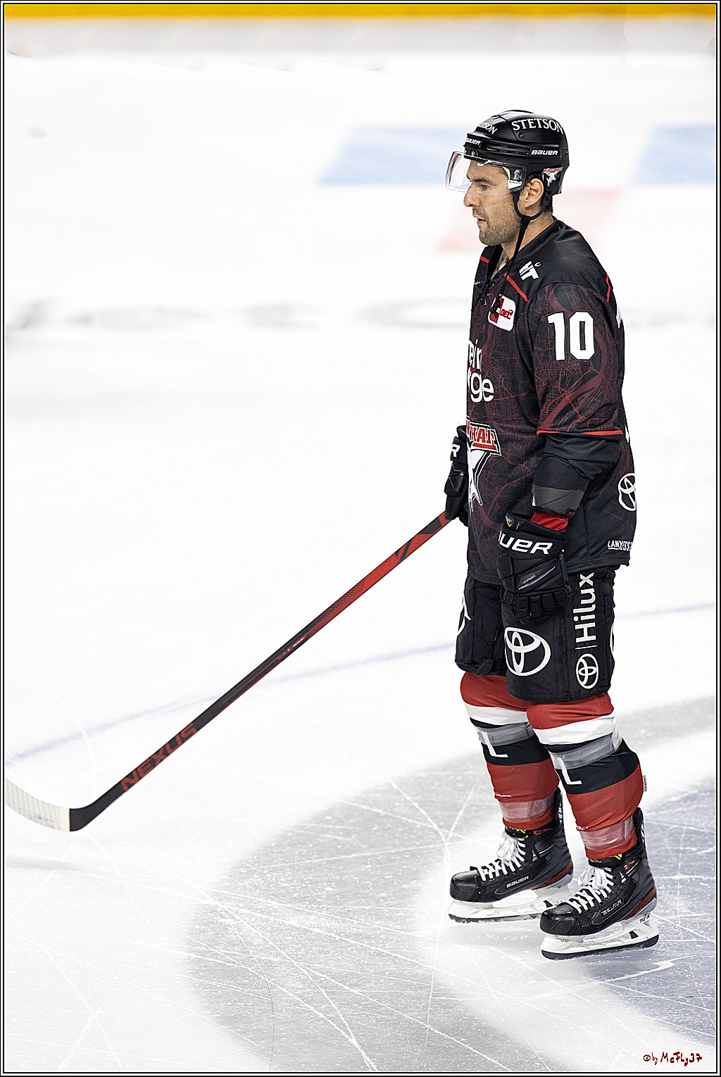 PENNY DEL;  Koelner Haie - Duesseldorfer EG; Koeln, 19.10.2021